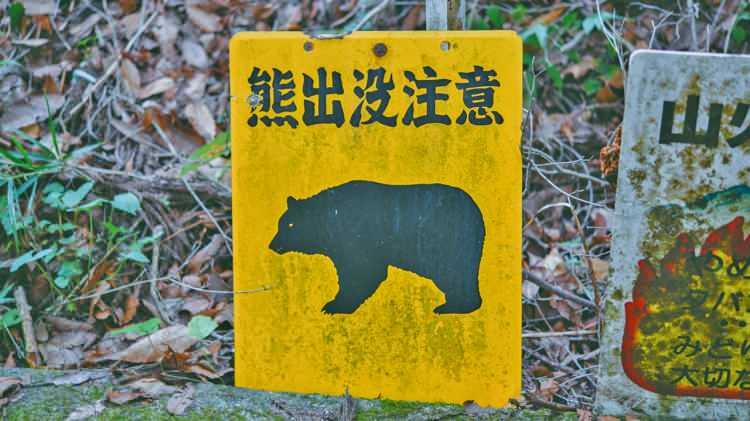 <p><span style="color:#B22222"><strong>AYI SALDIRILARINDA ÇOK SAYIDA KİŞİ ÖLDÜ</strong></span></p>
