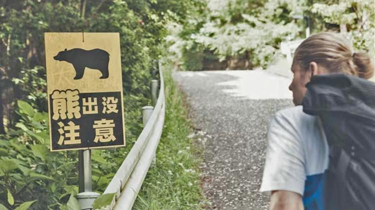 <p>Japonya Çevre Bakanlığı verilerine göre, ülkenin kuzeyi başta olmak üzere nisandan bu yana artış gösteren ayı saldırılarında<strong> 13 kişi</strong> hayatını kaybetti,<strong> 100'ü aşkın kişi</strong> yaralandı.</p>
