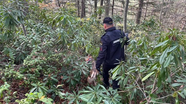 <p><span style="color:rgb(165, 42, 42)"><strong>BATAKLIĞA SAPLANMA İHTİMALİ ÜZERİNDE DURULUYOR</strong></span></p>

<p> </p>

<p>Huriye Helvacı'nın, oğlunu kurtarmak isterken <em>bataklığa <strong><span style="color:#A52A2A">saplanma ihtimali üzerine ekipler bölgede arama çalışmalarını sürdürüyor.</span></strong></em></p>
