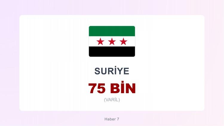 <p><span style="color:#B22222"><strong>48)  SURİYE</strong></span></p>
