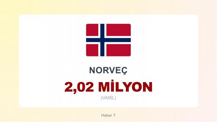 <p><span style="color:#B22222"><strong>13)&nbsp; NORVE&Ccedil;</strong></span></p>
