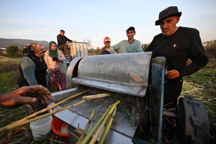 <p>Pekmez daha üretim aşamasındayken siparişlerini verildiğini söyleyen Kutlu, tamamen doğal olduğu için taleplerin her yıl arttığını anlattı.</p>
