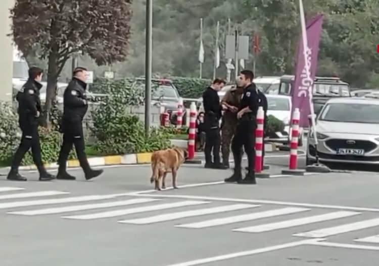 <p><span style="color:#B22222"><strong>'PİŞMAN DEĞİLİM KİM OLSA AYNISINI YAPARDI'</strong></span></p>

<p>Kemal S., "Benim amacım eşimi korumak. Onun üzülmesini istemedim. Çünkü bu konudan dolayı gece ağladı ve yıpranmış gördüm. Ben de bu konuya çok üzüldüm içerledim. Eşimin haberi olmadan bu konuyu gerçekleştirdim. Bu konuyla alakalı olarak pişman da değilim benim yerimde kim olsa aynı şeyi yapardı ve ailesini korurdu. Benim amacım kimseyi öldürmek değildi zaten elimdeki silah plastik boncuk tabancasıdır. Bu tabancayı 2 ay önce hurdalar içinde bulmuştum" ifadelerini kullandı</p>
