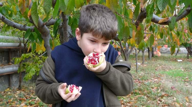 <p><span style="color:#A52A2A"><strong>"ALLAH İBRAHİM DEDEYE UZUN ÖMÜR VERSİN"</strong></span></p>

<p> </p>

<p><strong>"Böyle hayat pahalılığının yaşandığı bir dönemde İbrahim amcanın manevi değerlere bu kadar sahip çıkması, insanlara bahçesini açıp ürünlerini ücretsiz ikram etmesi gerçekten kelimelerle anlatılamaz bir davranış."</strong> diyen Bozkurt, <strong>"Bence kasabanın ortasına İbrahim dedenin bir anıtını dikmek lazım. Herkesin onu örnek alması gerekiyor. Allah İbrahim dedeye uzun ömürler versin"</strong> dedi. </p>
