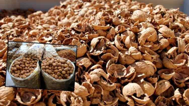 Ceviz kabuklarını sakın çöpe atmayın! Sağlığa olan faydaları şoke etti