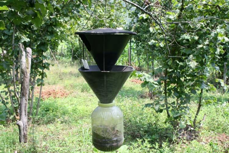 <p> Uzmanlar, zararlının yalnızca bölgesel değil, topyekûn ülke genelinde bir mücadele gerektirdiğini vurguluyor.</p>
