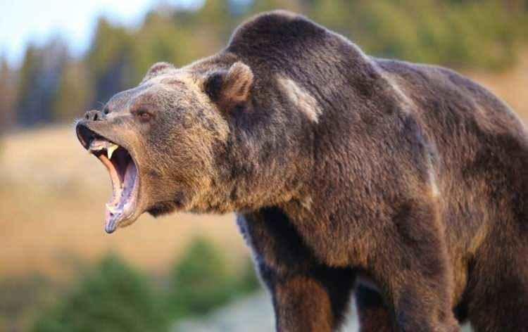 <p><span style="color:inherit"><strong>1.200 PSİ</strong></span></p>

<p> </p>
