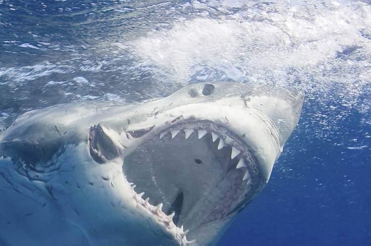 <p><span style="color:inherit"><strong>4.000 PSİ</strong></span></p>

<p> </p>
