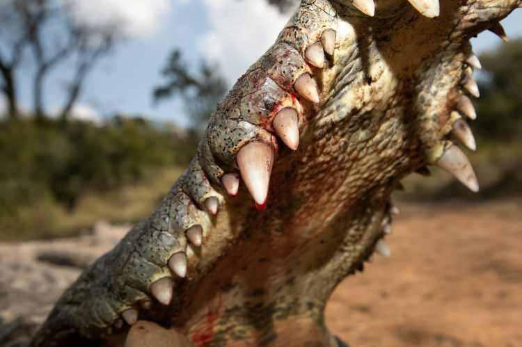 <p><span style="color:inherit"><strong>5.300 PSİ</strong></span></p>

<p> </p>
