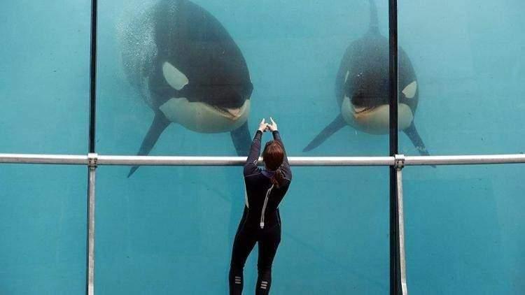 <p><span style="color:inherit"><strong>19.000 PSİ</strong></span></p>

<p> </p>
