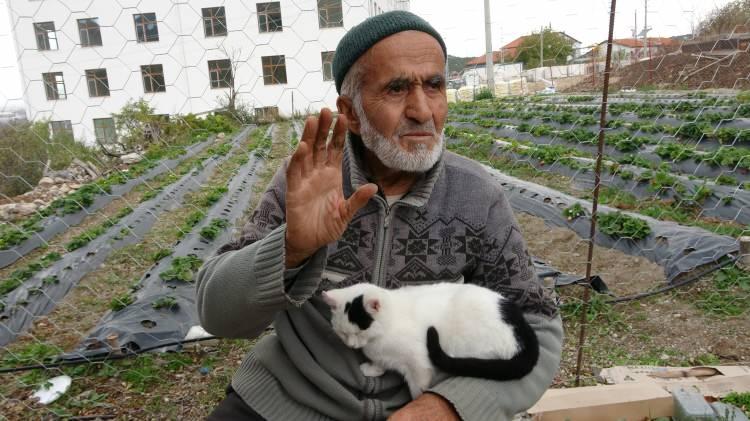 <p><span style="color:#A52A2A"><strong>"HEPSİNİN HAYIR DUASINI ALMAK BANA YETİYOR"</strong></span></p>

<p> </p>

<p>Tek hedefi olduğunu ifade eden Çakmakçı, <strong>"Bu bahçede bir yılda 5 bin misafiri ağırlamak istiyorum. Bu yıl toplam 2 bin 500 kişi bizi ziyaret etti ama bu sayıyı 5 bine çıkarmayı hedefliyorum. Burası toplam 5 dönüm ve içinde 60 kiraz ağacı, 95 cennet elması ağacı ile 2 bin 500 kök çilek var. Bunların hepsi misafirlerim için. Çilek sayısını 5 bine çıkarmak istiyorum, gelen misafirler çileğe doysun. Ziyaretçiler beni her geldiğinde güler yüzle karşılıyor. Onları mutlu gördükçe ben de çok mutlu oluyorum. <em><span style="color:#A52A2A">Hepsinin hayır duasını almak bana yetiyor.</span></em> Gelen herkesin tekrar tekrar gelmesi için elimden geleni yapıyorum. Buradan bizi gören herkese sesleniyorum: Eşinizi, dostunuzu, akrabalarınızı alın gelin ki, 5 bin ziyaretçi hedefim gerçekleşsin."</strong> dedi.</p>
