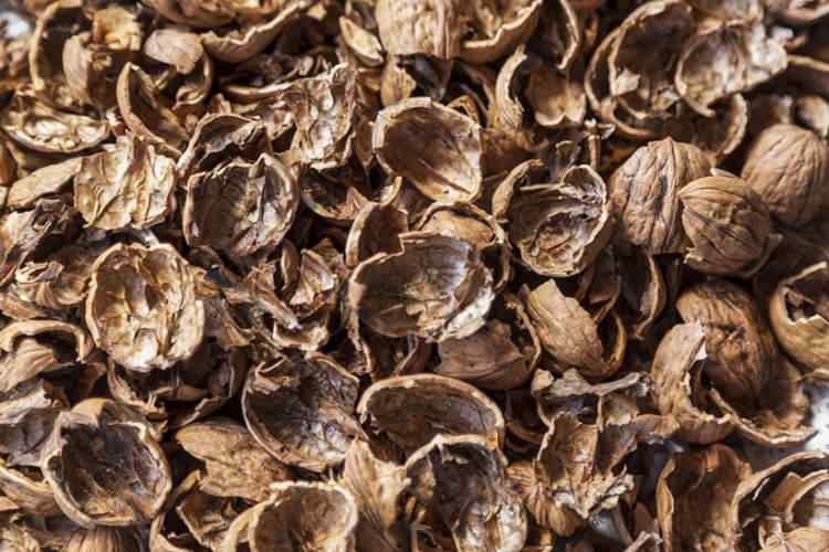 <p><span style="color:#000080"><strong>SAÇ DERİSİNİ BESLİYOR</strong></span></p>

<p>Ceviz kabuğunun kaynatılmasıyla elde edilen suyun, saç dökülmesini azaltabileceği, saç derisini besleyip kepek oluşumunu önleyebileceği belirtiliyor. </p>
