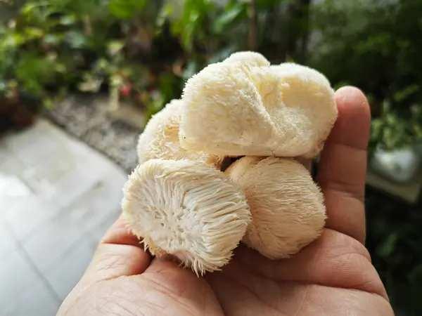 <p><span style="color:#800080"><strong>YENİ BİR İŞ MODELİ</strong></span></p>
