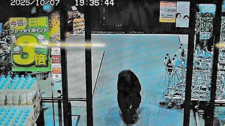 <p>Daha önce bir kaplıca tesisinde banyo temizleyen işçi, bir ayı tarafından parçalanmıştı.</p>
