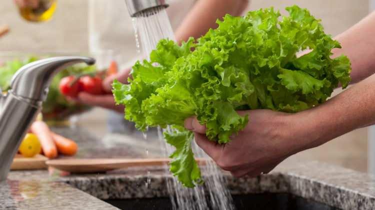 <p><span style="color:#800080"><strong>8- Yıkanmamış yeşillik kullanılan tost, sandviç ve salatalar</strong></span></p>

<p>Şüpheli su kaynakları parazit riskini büyük ölçüde arttırır.</p>
