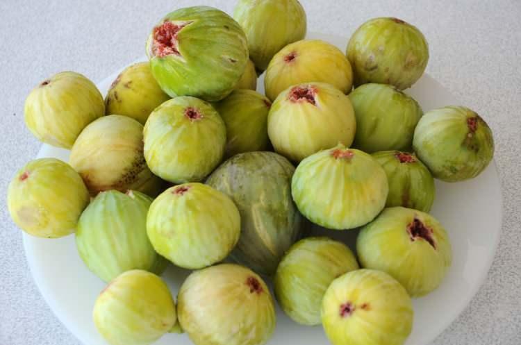 <p><span style="color:#B22222"><strong>AÇIKTA TEZGAHTA KESİLMİŞ MEYVE </strong></span></p>
