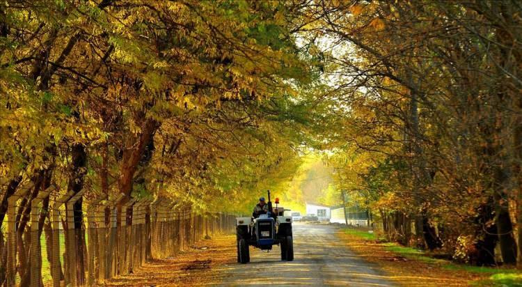 <p><span style="color:#B22222"><strong>Uşak: </strong></span></p>

<p> </p>

<p>Rakip il: Denizli </p>
