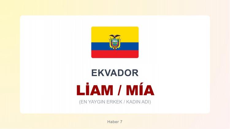 <p><strong>LIAM  |  MIA</strong></p>
