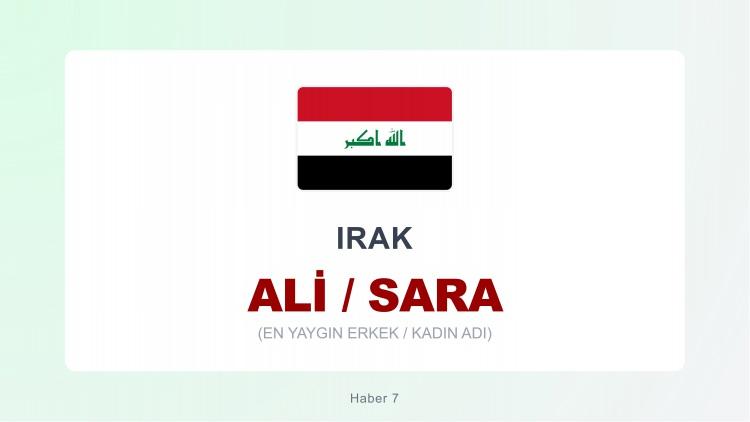 <p><strong>ALİ  |  SARA</strong></p>

