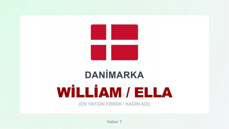 <p><strong>WILLIAM  |  ELLA</strong></p>
