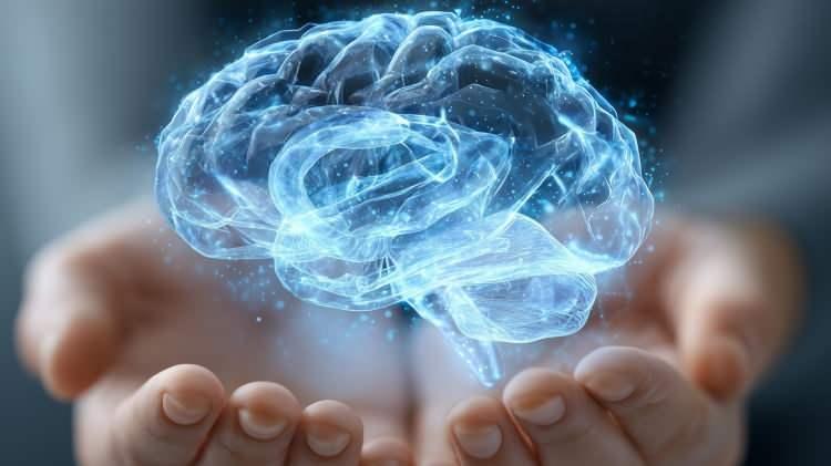 <p><strong>Araştırma için 22-37 yaş aralığında, ana dili Japonca olan 6 gönüllüyle çalışan Horikawa, zihinsel imgelerin yazılı betimlemelere aktarılma sürecini mercek altına aldı.</strong></p>
