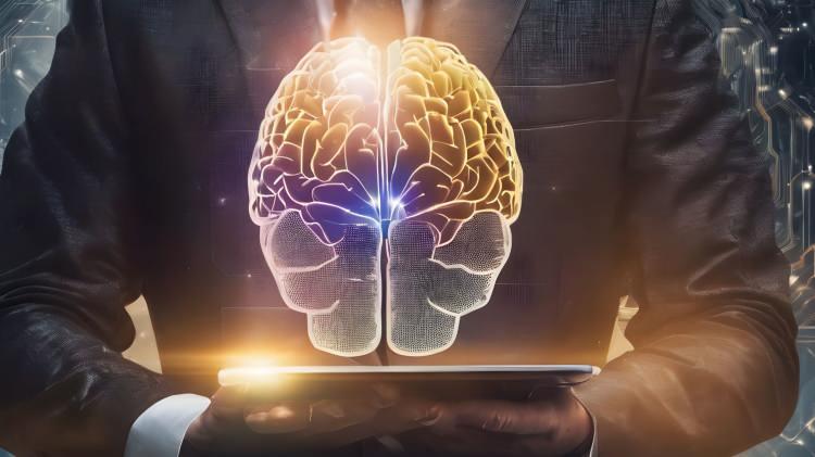 <p><strong>Buna göre; katılımcılara nesnelerden doğa manzaralarına, insan hareketlerinden günlük aktivitelere kadar çeşitli içeriklere sahip 2 bin 180 video gösterildi ve katılımcıların beyin aktiviteleri, sessiz videolar izlerken tarandı. </strong></p>
