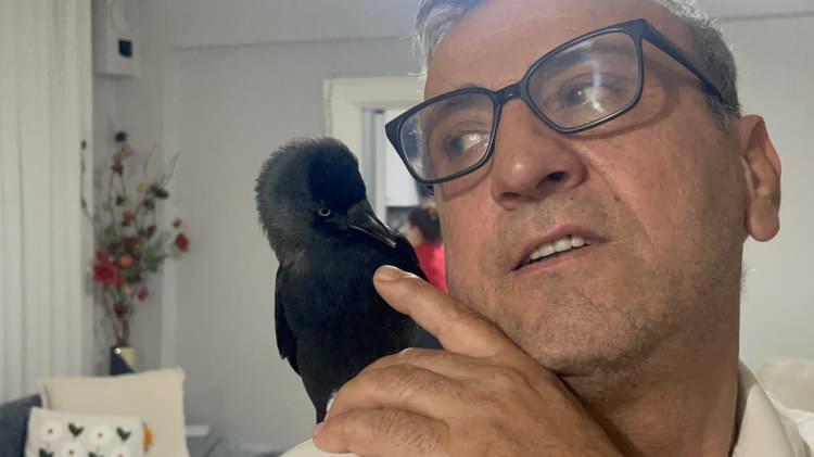 <p><strong>Elimi uzattım, hiç yadırgamadan elime geldi. Sonra kapıyı açtım eve girdi. </strong></p>
