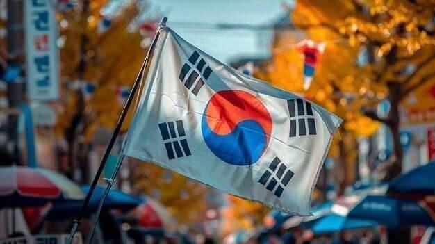 <p><span style="color:#B22222"><strong>3)  GÜNEY KORE</strong></span></p>
