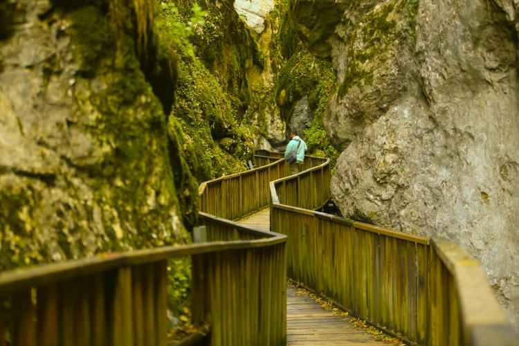 <p><strong>Yürüyüş rotasının sonunda ise ziyaretçileri tüm ihtişamıyla "Ilıca Şelalesi" karşılıyor. </strong></p>
