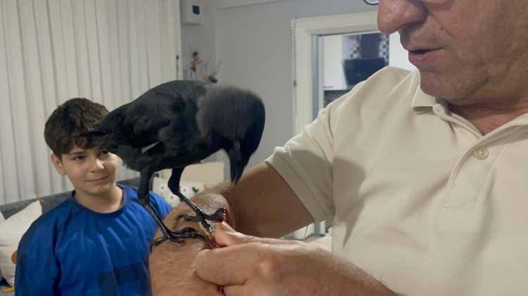 <p><span style="color:#B22222"><strong>"ELİMİ UZATTIM, HİÇ YADIRGAMADAN GELDİ"</strong></span></p>

<p>Karga ile bağ kuran Kemal Kara, şöyle konuştu;</p>
