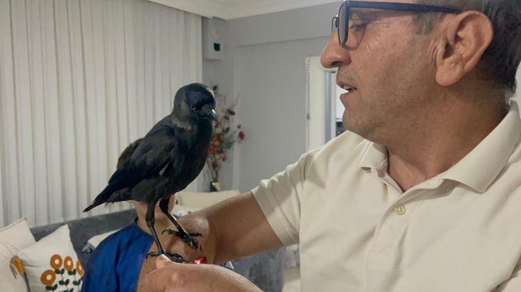 <p><strong>"Kızım eve geldi. Baktım, motor kaputunun üzerine karga var. </strong></p>
