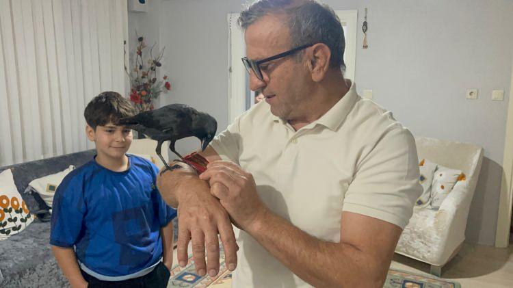 <p><strong><span style="color:rgb(178, 34, 34)">EVİN ÜYESİ OLDU</span></strong></p>

<p>Bir süre sonra buradan hiç ayrılmayan ve evin içerisine kadar giren Kömür, şimdi adeta evin bir üyesi oldu.</p>

<p> </p>
