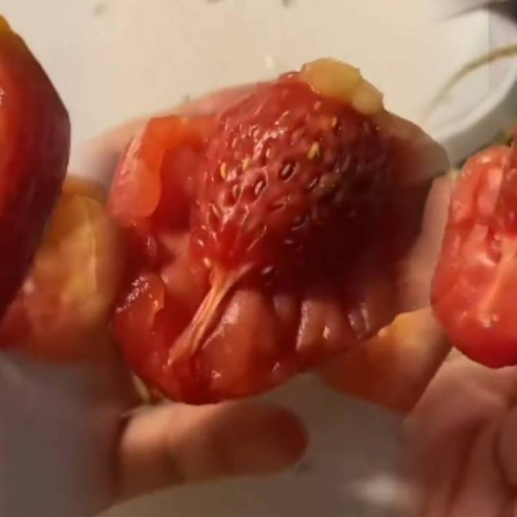<p>Market alışverişi sırasında alınan bir domatesin içinden çıkan görüntü kısa sürede sosyal medyanın en çok konuşulan konularından biri oldu. </p>
