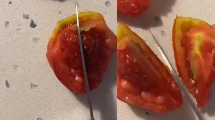 <p>Domatesi kesen vatandaş, iç kısmında çileğe benzeyen kırmızı, taneli bir yapı görünce o anları kaydedip paylaştı. “Domatesin içinden çilek mi çıkar?” yorumları çok geçmeden platformları doldurdu.</p>
