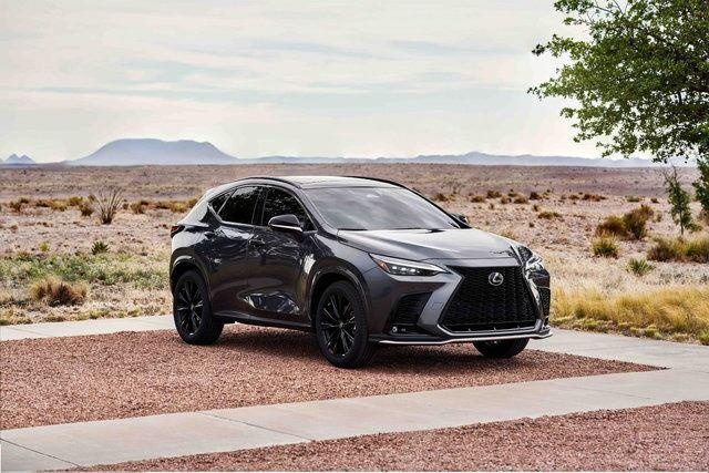 <p><strong>LEXUS</strong></p>

<p>NX<br />
 </p>
