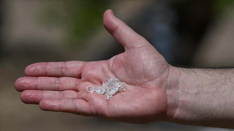 <p>Sakız çiğnemek yasak.</p>
