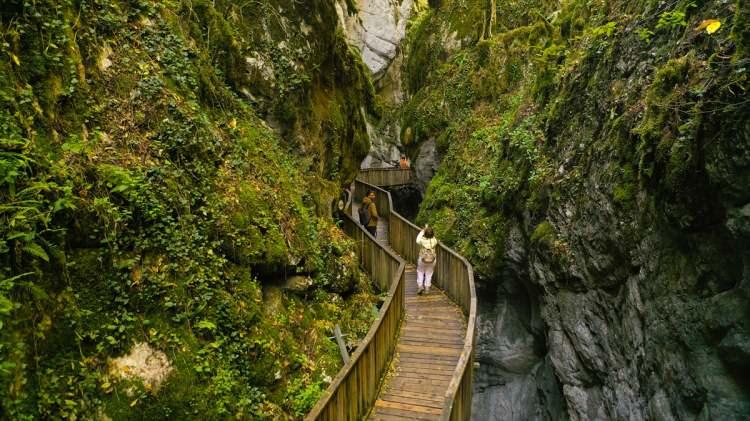 <p><strong>Bölgeyi keşfetmeyi keyifli bir hale getiren yürüyüş yolu boyunca, ziyaretçiler turuncu, sarı ve kızıl tonlara bürünen ağaçların güzelliğine şahitlik ediyor.</strong></p>
