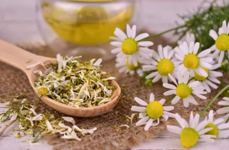 <p><strong>4- Süt ve yoğurt: </strong>Triptofan kaynağı; uykuya geçişi kolaylaştırır. </p>

<p><strong>5- Muz:</strong> Potasyum ve magnezyumla kas ve sinir sistemini rahatlatır. </p>

<p><strong>6- Ceviz: </strong>Doğal melatonin içerir, gece melatonin saklınımını destekler.</p>

<p><strong>7- Papatya çayı:</strong>Hafif sedatif etkisiyle sinir sistemini yatıştırır, uykuya hazırlık sağlar.</p>
