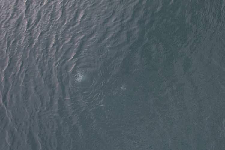 <p>Uzun yıllardır gölde dalış ve balıkçılık yapan Güngör Demirci ise ‘Su kaynıyor' sözleriyle o anları kaydetti.</p>
