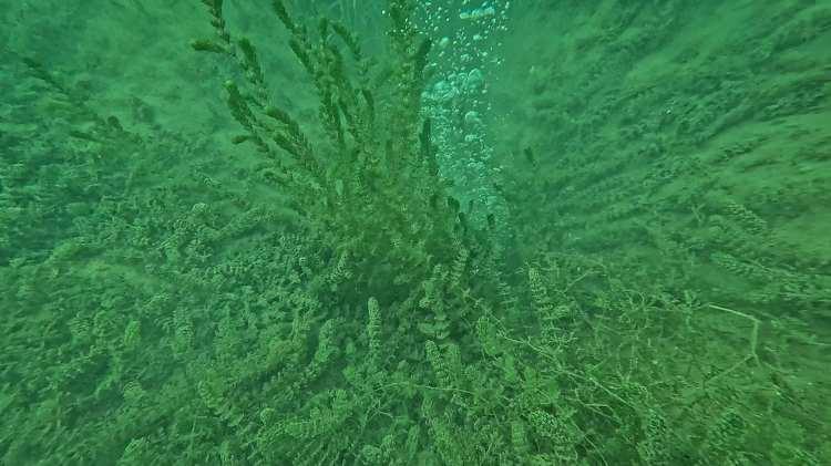 <p><span class="cf0">Sapanca G</span><span class="cf1">ölü'ne gelen Fatih Mehmet Akdemir isimli vatanda</span><span class="cf0">ş, daha </span><span class="cf1">öncesinde buna benzer farkl</span><span class="cf0">ı b</span><span class="cf1">ölgelerde kabarc</span><span class="cf0">ıkların oluştuğunu ve akabinde deprem olduğunu aktararak şöyle konuştu:</span></p>
