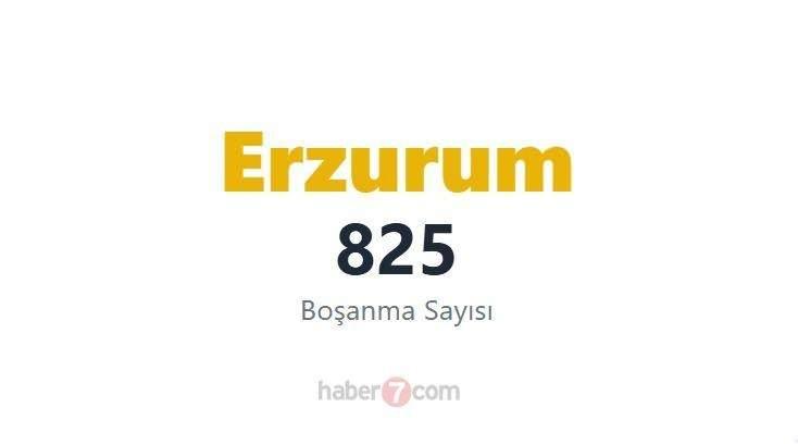 <p><span style="color:#B22222"><strong>47)&nbsp; ERZURUM</strong></span></p>
