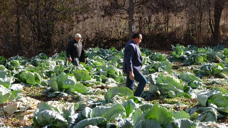 <p>Çocukluk, gençlik ve yetişkinlik dönemleri dahil her zaman bir arada olan kardeşler alışverişe birlikte çıkıyor, tarlalarını birlikte ekiyor, hayvanlarına birlikte bakıyor.</p>
