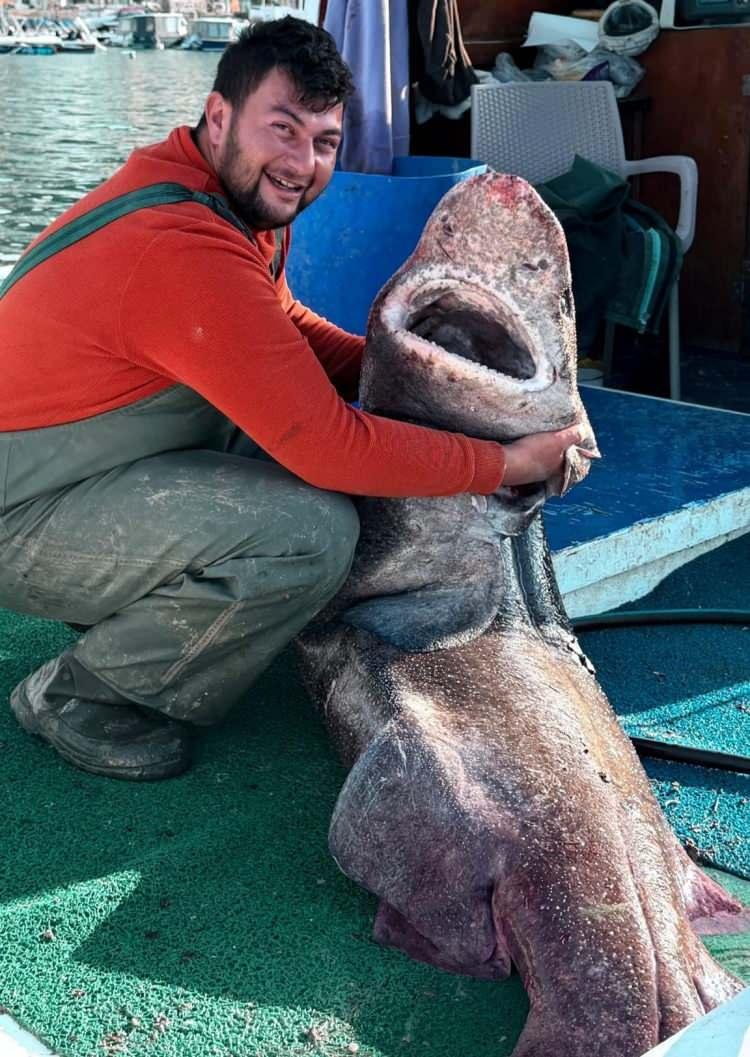 <p>Yalova açıklarında 4 metre uzunluğunda ve yaklaşık 300 kilo ağırlığında pamuk cinsi köpek balığı bir balıkçının ağına takıldı.</p>

<p> </p>
