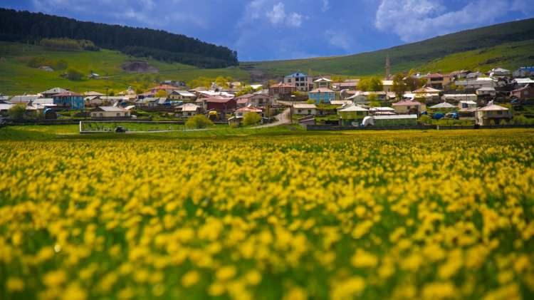 <p>7. Ardahan</p>

<p> </p>

<p>Kentte arsa değerleri düzenli bir yükseliş gösterdi.</p>

<p> </p>
