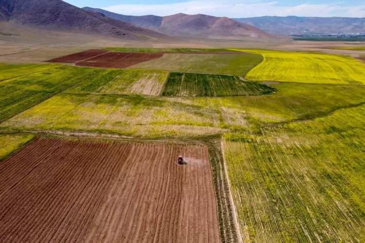 <p>Türkiye'de arsa fiyatları son bir yılda ortalama yüzde 35'in üzerinde artarken, yükseliş beklenmedik şehirlerde yoğunlaştı.</p>
