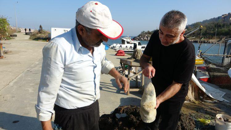 <p><span class="cf0">İl</span><span class="cf1">çedeki bal</span><span class="cf0">ık</span><span class="cf1">ç</span><span class="cf0">ı barınağına getirilen cisimle ilgili bilgi veren balık</span><span class="cf1">ç</span><span class="cf0">ı Temel Işık şöyle konuştu:</span></p>
