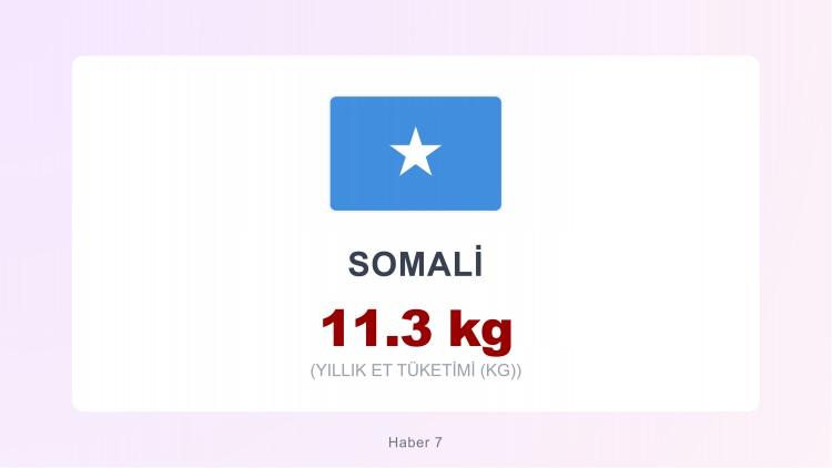<p><span style="color:#B22222"><strong>SOMALİ</strong></span></p>
