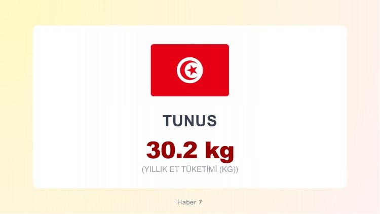 <p><span style="color:#B22222"><strong>TUNUS</strong></span></p>
