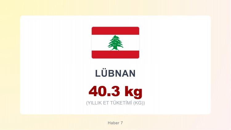 <p><span style="color:#B22222"><strong>L&Uuml;BNAN</strong></span></p>
