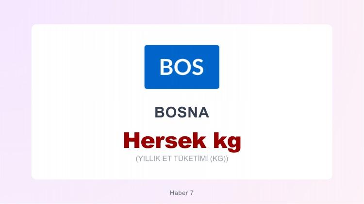 <p><span style="color:#B22222"><strong>BOSNA</strong></span></p>
